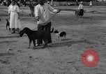 Image of Ukraine civilians Ukraine, 1943, second 46 stock footage video 65675045870