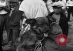 Image of Ukraine civilians Ukraine, 1943, second 51 stock footage video 65675045870