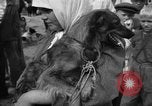 Image of Ukraine civilians Ukraine, 1943, second 55 stock footage video 65675045870