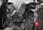 Image of Ukraine civilians Ukraine, 1943, second 56 stock footage video 65675045870