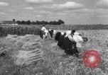 Image of Ukraine civilians Ukraine, 1943, second 38 stock footage video 65675045872