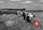 Image of Ukraine civilians Ukraine, 1943, second 39 stock footage video 65675045872