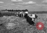 Image of Ukraine civilians Ukraine, 1943, second 40 stock footage video 65675045872