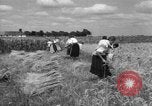 Image of Ukraine civilians Ukraine, 1943, second 41 stock footage video 65675045872