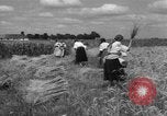 Image of Ukraine civilians Ukraine, 1943, second 42 stock footage video 65675045872
