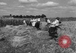 Image of Ukraine civilians Ukraine, 1943, second 43 stock footage video 65675045872