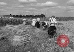 Image of Ukraine civilians Ukraine, 1943, second 44 stock footage video 65675045872