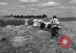 Image of Ukraine civilians Ukraine, 1943, second 46 stock footage video 65675045872