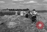 Image of Ukraine civilians Ukraine, 1943, second 47 stock footage video 65675045872