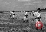 Image of Ukraine civilians Ukraine, 1943, second 48 stock footage video 65675045872