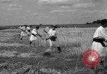 Image of Ukraine civilians Ukraine, 1943, second 49 stock footage video 65675045872