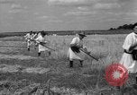 Image of Ukraine civilians Ukraine, 1943, second 51 stock footage video 65675045872