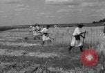 Image of Ukraine civilians Ukraine, 1943, second 55 stock footage video 65675045872