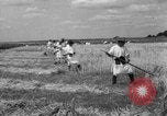 Image of Ukraine civilians Ukraine, 1943, second 57 stock footage video 65675045872