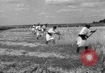 Image of Ukraine civilians Ukraine, 1943, second 58 stock footage video 65675045872