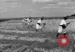 Image of Ukraine civilians Ukraine, 1943, second 60 stock footage video 65675045872