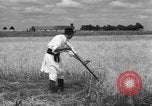 Image of Ukraine civilians Ukraine, 1943, second 61 stock footage video 65675045872