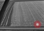 Image Vue aérienne l'Ukraine, 1943, de la seconde 8 séquences d'archives historiques vidéo 65675045873