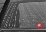 Image Vue aérienne l'Ukraine, 1943, de la seconde 9 séquences d'archives historiques vidéo 65675045873