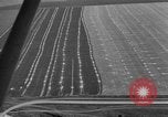 Image Vue aérienne l'Ukraine, 1943, de la seconde 10 séquences d'archives historiques vidéo 65675045873