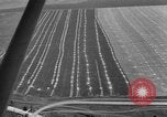 Image Vue aérienne l'Ukraine, 1943, de la seconde 11 séquences d'archives historiques vidéo 65675045873
