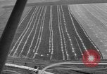 Image Vue aérienne l'Ukraine, 1943, de la seconde 12 séquences d'archives historiques vidéo 65675045873