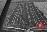 Image Vue aérienne l'Ukraine, 1943, de la seconde 13 séquences d'archives historiques vidéo 65675045873