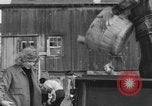 Standbild Amerikanische Frauen in bürgerlichen Pflichten Monroe New York USA, 1950, aus Sekunde 33 historischem Filmmaterial Videoclip 65675045877
