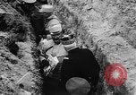 Standbild General Joseph Joffre Western Front, 1916, aus Sekunde 51 historischem Filmmaterial Videoclip 65675045891