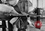 Image of French compressed air driven Torpedo France, 1916, second 61 stock footage video 65675045898