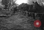 Standbild Kosaken Galizien Ukraine, 1916, aus Sekunde 5 historischem Filmmaterial Videoclip 65675045906
