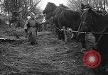 Standbild Kosaken Galizien Ukraine, 1916, aus Sekunde 10 historischem Filmmaterial Videoclip 65675045906