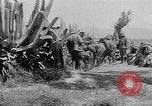 Standbild Hafen von Athen Piraeus Griechenland, 1916, aus Sekunde 31 historischem Filmmaterial Videoclip 65675045907