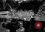 Standbild Munition Anlage Europa, 1916, aus Sekunde 15 historischem Filmmaterial Videoclip 65675045908