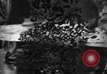 Standbild Munition Anlage Europa, 1916, aus Sekunde 19 historischem Filmmaterial Videoclip 65675045908