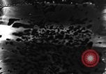 Standbild Munition Anlage Europa, 1916, aus Sekunde 20 historischem Filmmaterial Videoclip 65675045908
