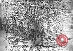 Standbild Munition Anlage Europa, 1916, aus Sekunde 31 historischem Filmmaterial Videoclip 65675045908