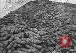 Standbild Munition Anlage Europa, 1916, aus Sekunde 34 historischem Filmmaterial Videoclip 65675045908
