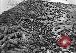 Standbild Munition Anlage Europa, 1916, aus Sekunde 35 historischem Filmmaterial Videoclip 65675045908