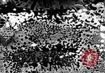 Standbild Munition Anlage Europa, 1916, aus Sekunde 45 historischem Filmmaterial Videoclip 65675045908