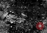Standbild Munition Anlage Europa, 1916, aus Sekunde 46 historischem Filmmaterial Videoclip 65675045908