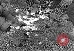 Standbild Munition Anlage Europa, 1916, aus Sekunde 48 historischem Filmmaterial Videoclip 65675045908