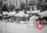 Image allemand wagons Prusse Orientale, 1915, de la seconde 19 séquences d'archives historiques vidéo 65675045930