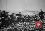 Image soldats français Belgique, 1915, de la seconde 27 séquences d'archives historiques vidéo 65675045931