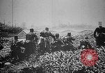 Image soldats français Belgique, 1915, de la seconde 29 séquences d'archives historiques vidéo 65675045931