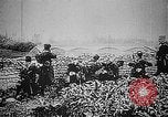 Image soldats français Belgique, 1915, de la seconde 36 séquences d'archives historiques vidéo 65675045931