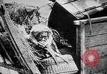 Image German military aider des réfugiés en provenance de zones de lourds bombardements Français Front Ouest, 1915, de la seconde 20 séquences d'archives historiques vidéo 65675045933