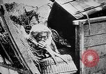 Image German military aider des réfugiés en provenance de zones de lourds bombardements Français Front Ouest, 1915, de la seconde 21 séquences d'archives historiques vidéo 65675045933