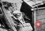 Image German military aider des réfugiés en provenance de zones de lourds bombardements Français Front Ouest, 1915, de la seconde 23 séquences d'archives historiques vidéo 65675045933