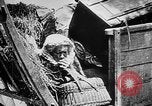 Image German military aider des réfugiés en provenance de zones de lourds bombardements Français Front Ouest, 1915, de la seconde 25 séquences d'archives historiques vidéo 65675045933